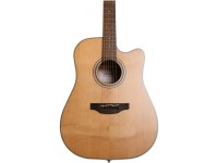 Takamine GD20CE-N Takamine GD20CE-N